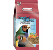Prestige Tropical Birds